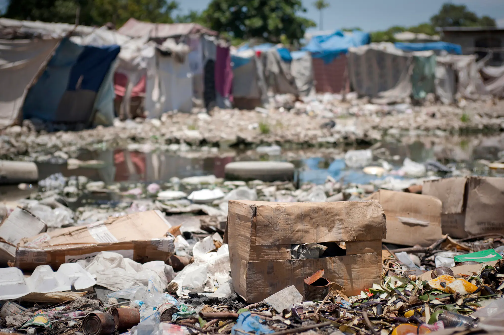 Épidémie de choléra au Niger : illustration de bactéries dans l'eau contaminée