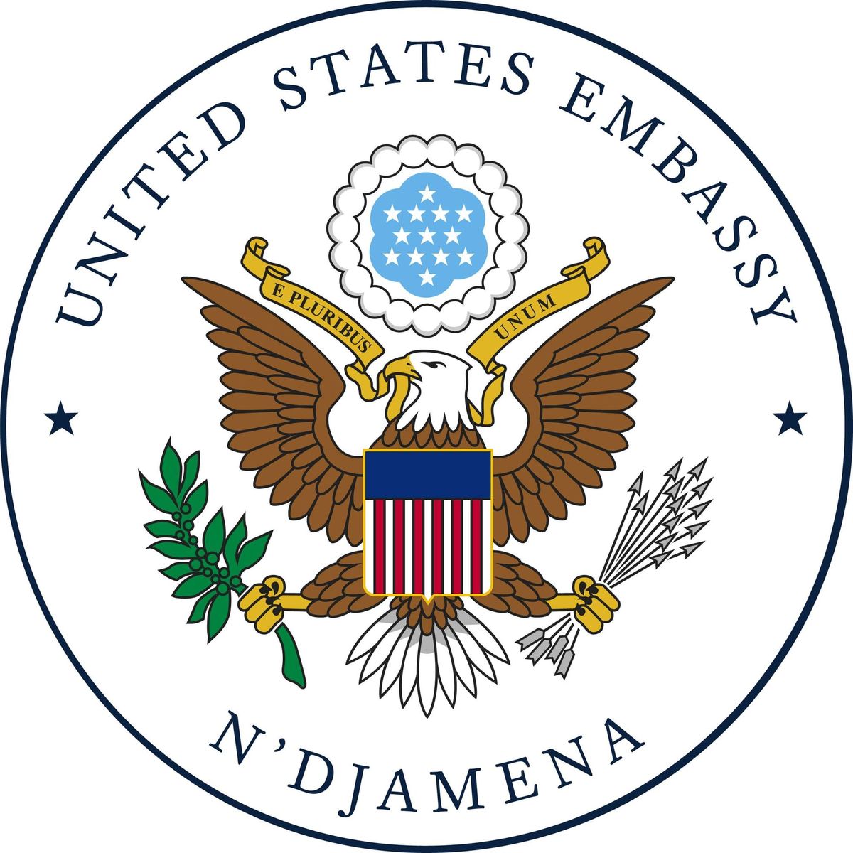 Tchad : rencontre virtuelle de l'ambassade américaine pour ses ressortissants