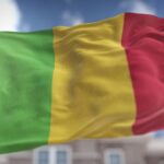 Lourde peine pour un agent des renseignements français au Mali